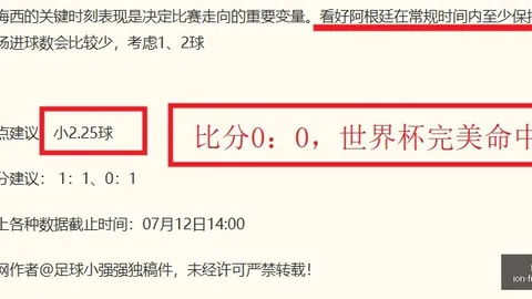 世界杯投注，投注策略， 111704